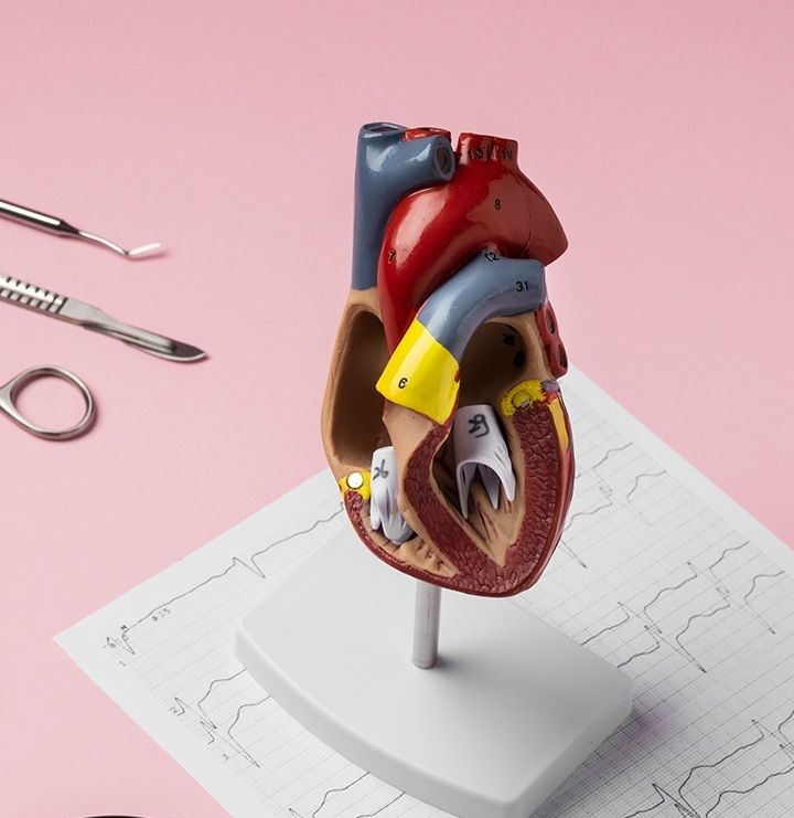 Cardiology healthcare